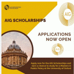 AIG-Imoukhuede Foundation